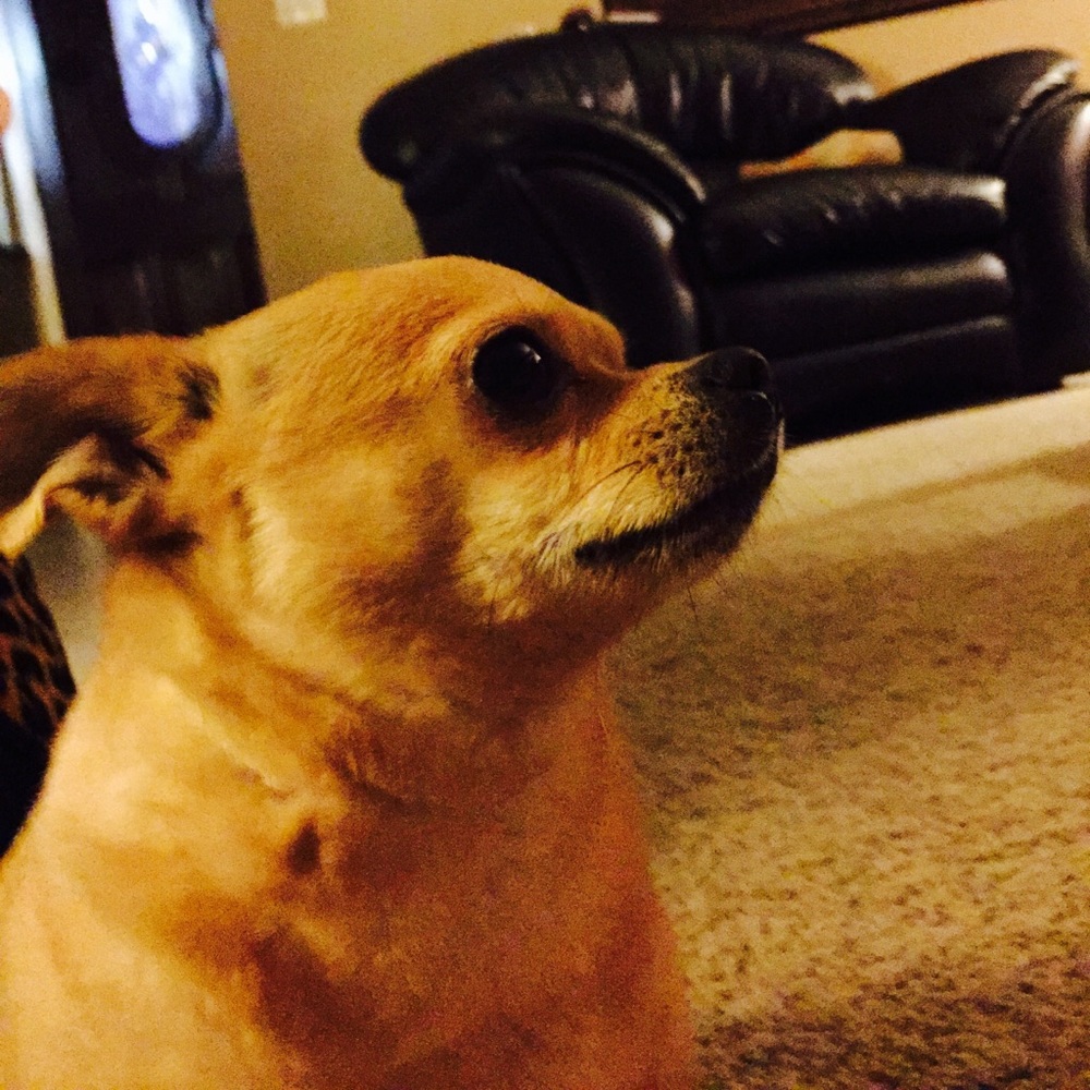 Meet your Posher, Casandra